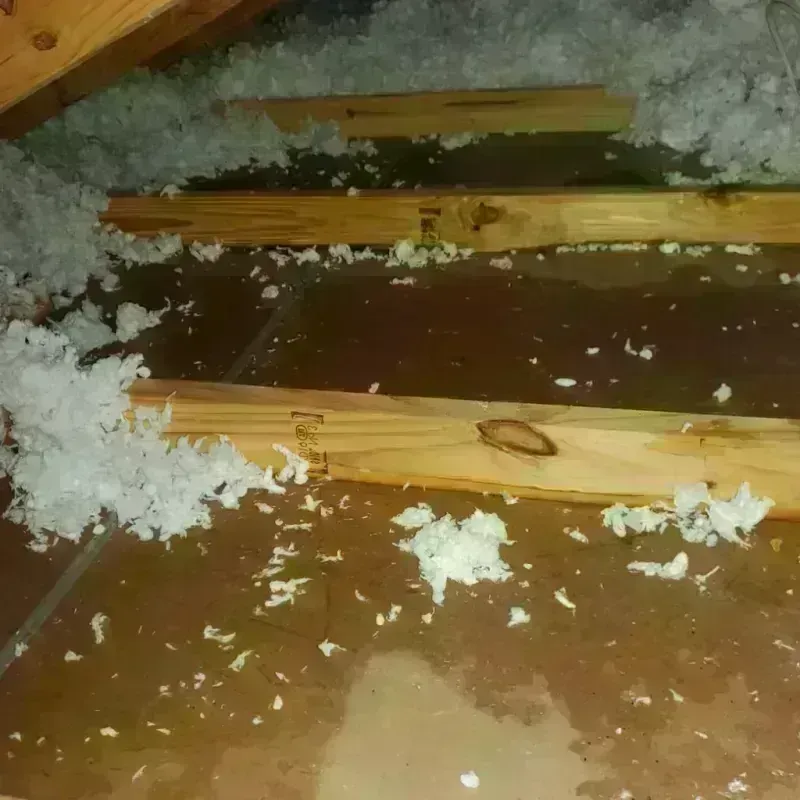 Attic Water Damage in Rio Lajas, PR